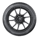 Pneu NOKIAN POWERPROOF 2 