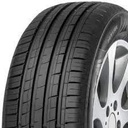 Pneu MINERVA F209