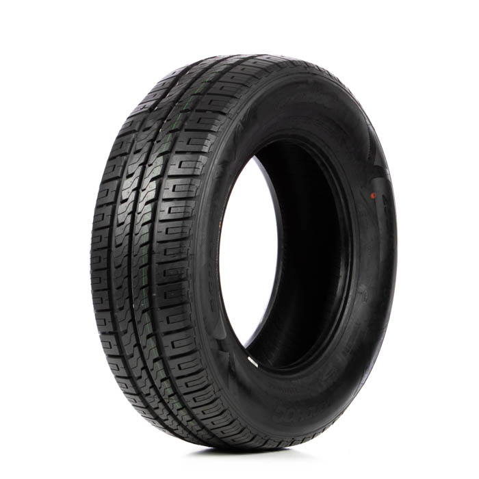 2056516 107T ROADHOG RGVAN01